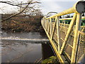 The River Wansbeck at Sheepwash