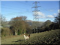 Farmland near Gilwern