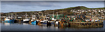 NR7220 : Fishing Boats at Campbeltown Old Quay by Steve Partridge