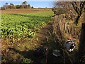 Electric fence across footpath, Pepperdon