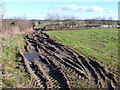 SY8385 : Muddy farm Track by Nigel Mykura
