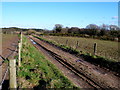 Track to Haremere Wood