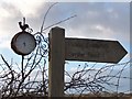 NT9553 : Footpath signpost with thermometer by Barbara Carr