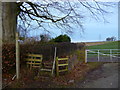 Footpath to River Eden