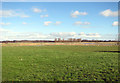 View across Shipmeadow Marshes