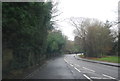 A264, Langton Green