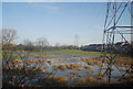 Pylons, Doxey Marshes