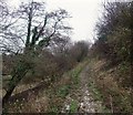 Footpath to Netherbury