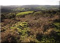 View from Mardon Down