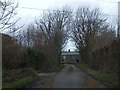 Tree-lined road near Killiserth 