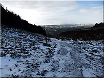 NZ0024 : Frozen track on Nemour Hill by David Brown