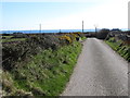 J3315 : View south along Wrack Road by Eric Jones