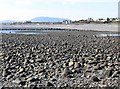 Stony beach as Leestone Harbour