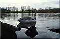 Shipley Country Park, Heanor, Derbys.