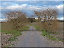 SP6298 : Track to Seven Oaks Farm by Mat Fascione