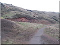 Ancient spoil heap near Saltom Mine