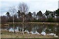 Main pool at Oakenshaw Wildlife Reserve