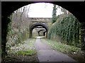 Bridge arches in the Heckmondwike Cutting