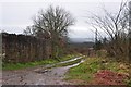 Mid Devon : Farm Track