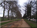 Looking east along the edge of Hyde Park