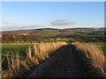 Farm lane descending to Hallrule