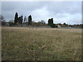 Waste ground, Goldthorpe