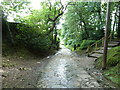 Looking towards Back Lane