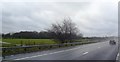 SJ7465 : The M6 passes through farmland by Anthony Parkes
