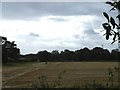 SJ4917 : View from the Drive at Albrighton Hall (Mercure Hotel), Ellesmere Road, Shropshire - 1 by Terry Robinson