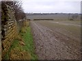 SK4883 : Stone Wall at the Rear of Wesley Road North Allotments by Karl Smt