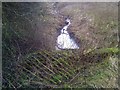 Todwick Beck from a bridge