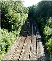 Shallow railway cutting, Penperlleni