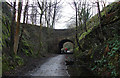 Cycling along the Delph Donkey