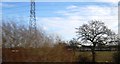 Pylon by the railway line