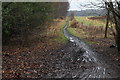 Bridleway near Inkersall Manor