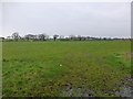 Magheramesk Townland