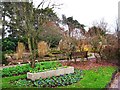 SO8275 : Senses Garden, Brinton Park, Sutton Road, Kidderminster by P L Chadwick