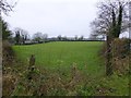 Ballynalargy Townland