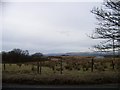 Looking north from the B803 Raebog Road