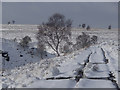 SK2775 : Track by Bar Brook in winter conditions by Andrew Hill