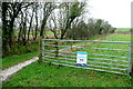 Bridleway towards Freshwater