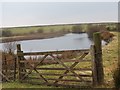 Llyn Traeth Bach