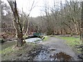 Footbridge in Ousbrough Wood