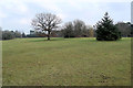 Open space in Bruntwood Park