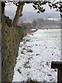 Footpath - Cliffe Lane