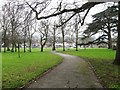 Crease Park, Eden Park