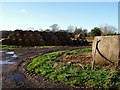 TQ1727 : Straw bales, Coltstaple Farm near Horsham by nick macneill