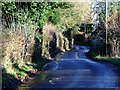 TQ1727 : Coltstaple Lane near Horsham by nick macneill