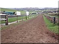 Racehorse gallop, Sandhill Farm