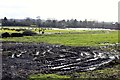 SJ4668 : Waterlogged Farmland near Great Barrow by Jeff Buck